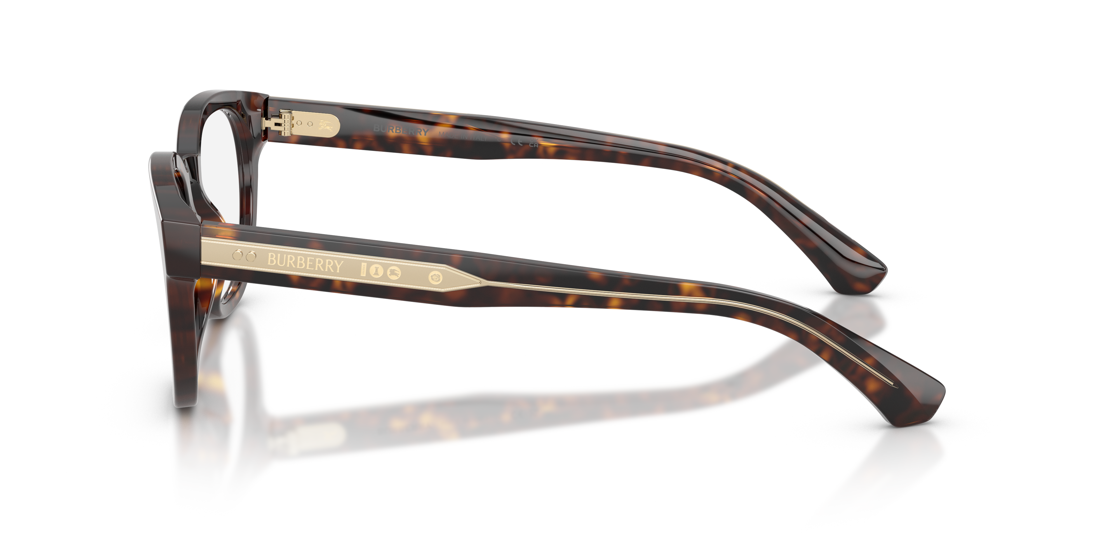 Burberry BE2454 4205  